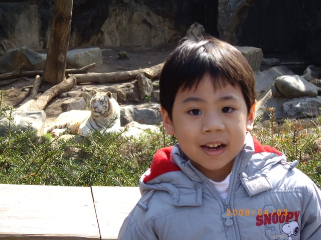 韓國～韓天霹地大長今五日遊  DAY2