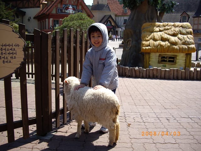韓國～韓天霹地大長今五日遊  DAY2
