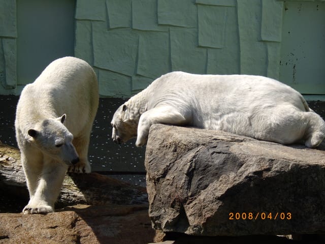 韓國～韓天霹地大長今五日遊  DAY2