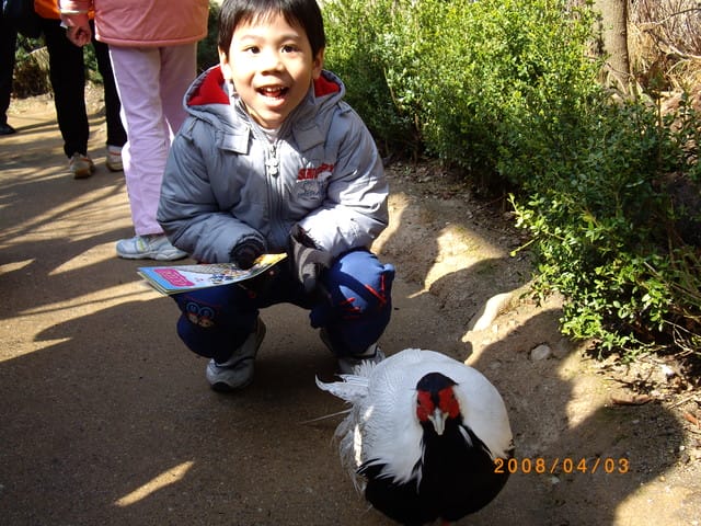 韓國～韓天霹地大長今五日遊  DAY2