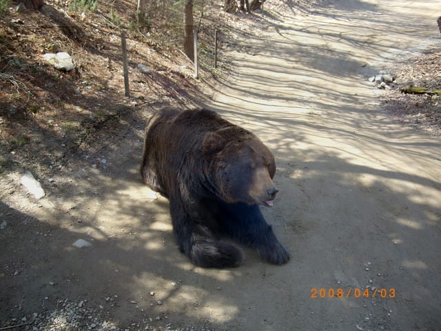 韓國～韓天霹地大長今五日遊  DAY2