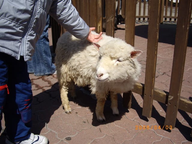 韓國～韓天霹地大長今五日遊  DAY2