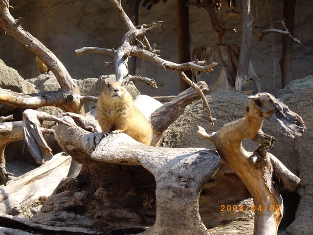 韓國～韓天霹地大長今五日遊  DAY2