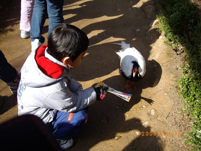 韓國～韓天霹地大長今五日遊  DAY2