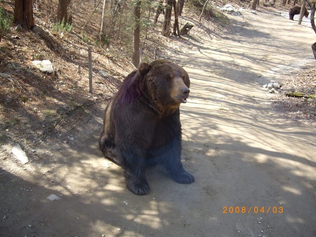 韓國～韓天霹地大長今五日遊  DAY2