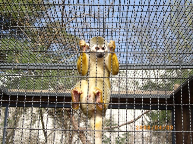 韓國～韓天霹地大長今五日遊  DAY2