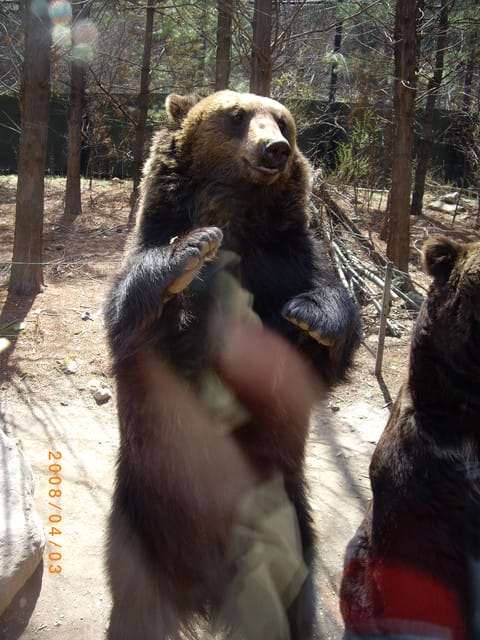 韓國～韓天霹地大長今五日遊  DAY2