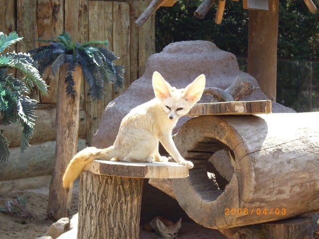 韓國～韓天霹地大長今五日遊  DAY2