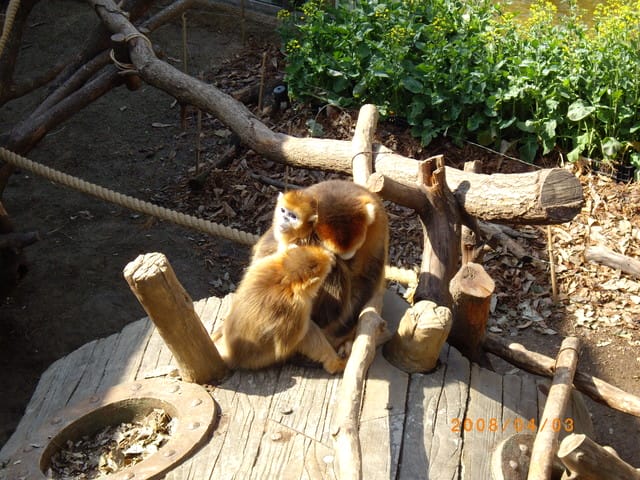 韓國～韓天霹地大長今五日遊  DAY2