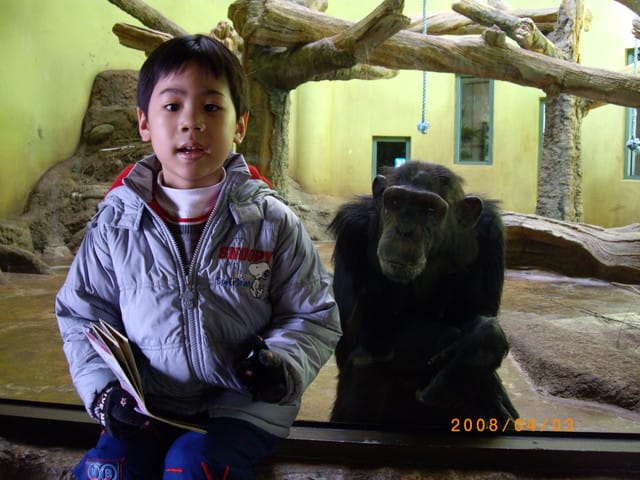 韓國～韓天霹地大長今五日遊  DAY2