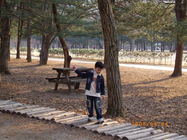 韓國～韓天霹地大長今五日遊  DAY3