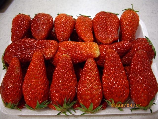 韓國～韓天霹地大長今五日遊  DAY3