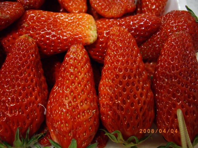 韓國～韓天霹地大長今五日遊  DAY3