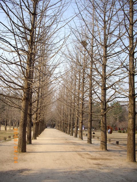 韓國～韓天霹地大長今五日遊  DAY3