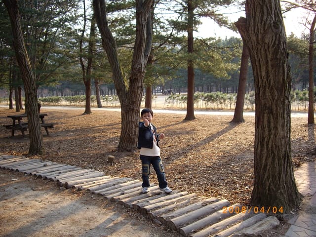 韓國～韓天霹地大長今五日遊  DAY3