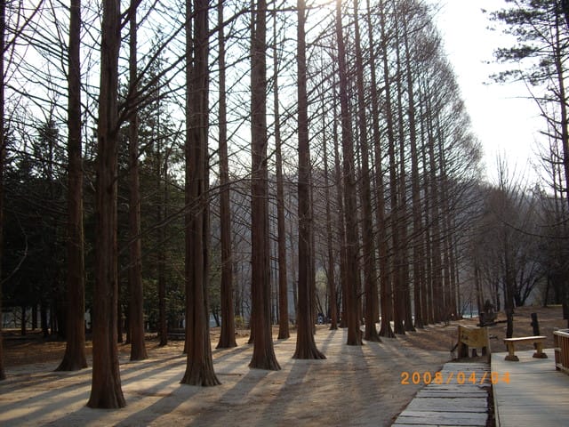 韓國～韓天霹地大長今五日遊  DAY3