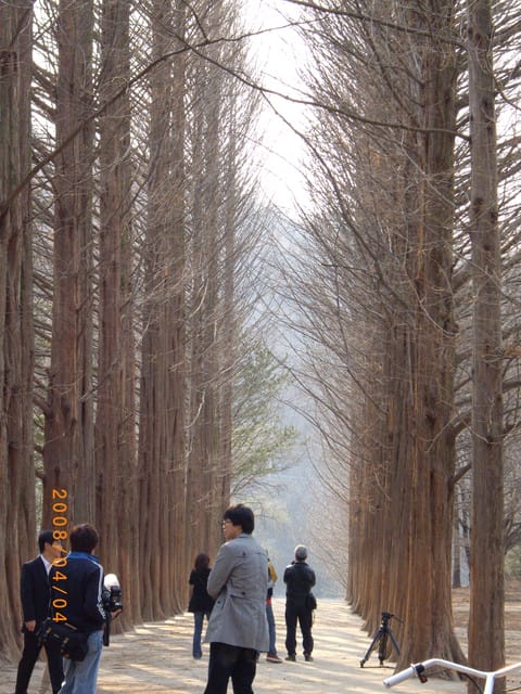 韓國～韓天霹地大長今五日遊  DAY3