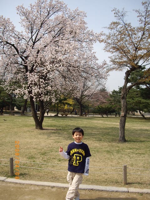 韓國～韓天霹地大長今五日遊  DAY5