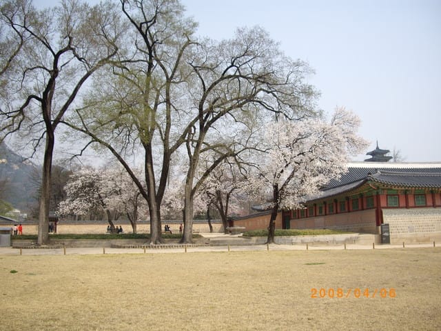 韓國～韓天霹地大長今五日遊  DAY5