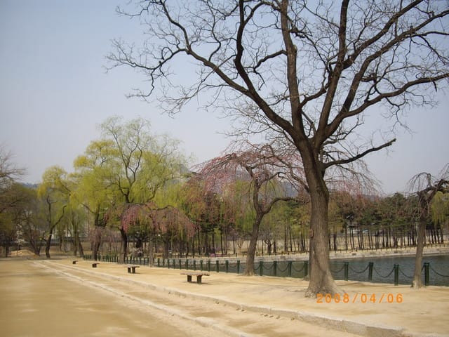 韓國～韓天霹地大長今五日遊  DAY5