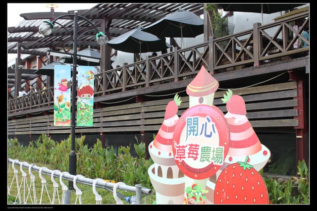 《遊記—苗栗》大湖酒莊草莓文化館