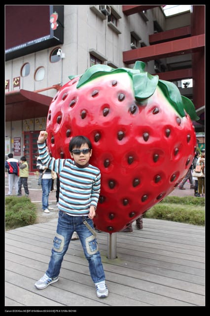 《遊記—苗栗》大湖酒莊草莓文化館