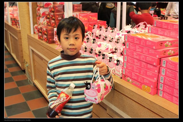 《遊記—苗栗》大湖酒莊草莓文化館