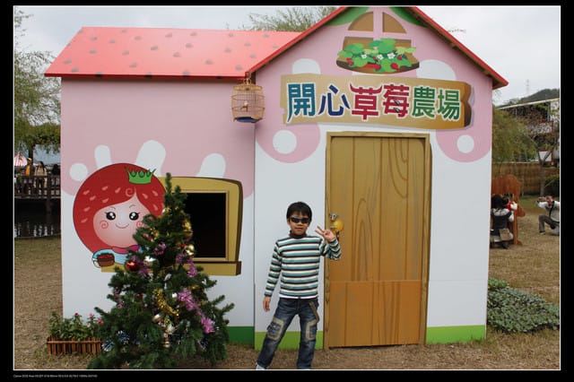 《遊記—苗栗》大湖酒莊草莓文化館