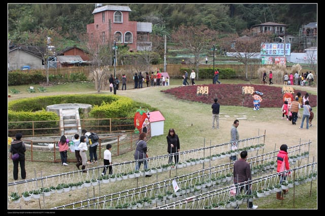 《遊記—苗栗》大湖酒莊草莓文化館