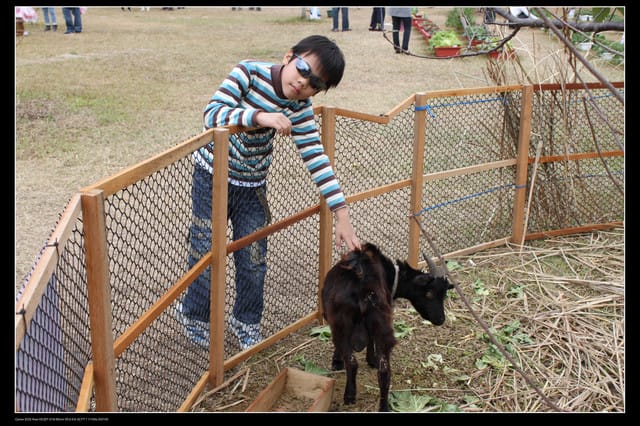 《遊記—苗栗》大湖酒莊草莓文化館