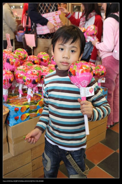 《遊記—苗栗》大湖酒莊草莓文化館