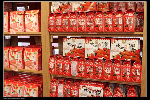 《遊記—苗栗》大湖酒莊草莓文化館