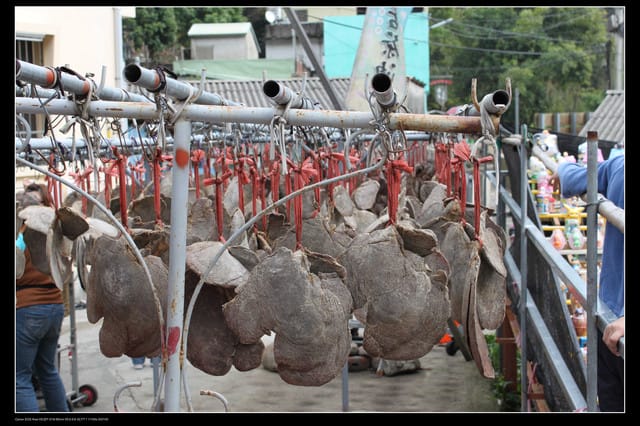 《遊記—苗栗》汶水老街