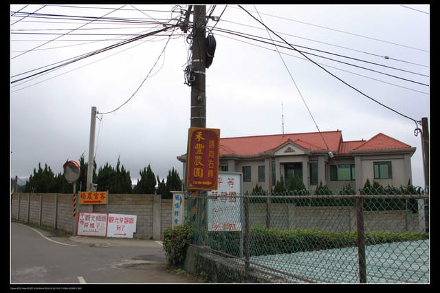 《遊記—台北》陽明山櫻花盛開了～～