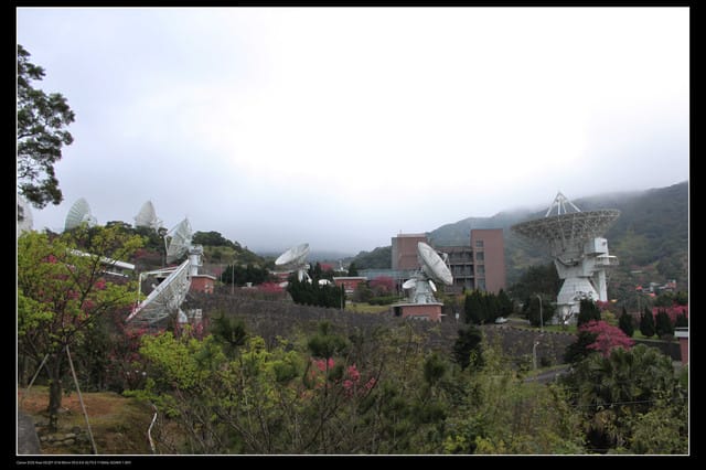 《遊記—台北》陽明山櫻花盛開了～～