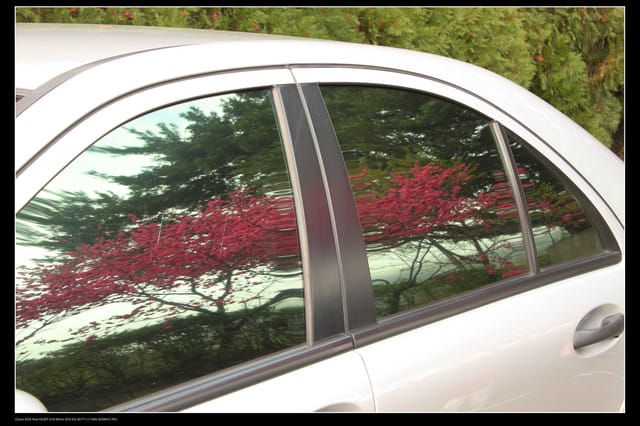 《遊記—台北》陽明山櫻花盛開了～～