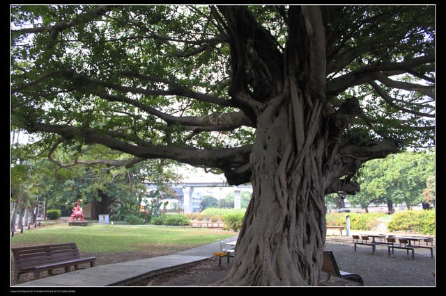 《遊記—高雄》高鐵高捷一日遊Part2～橋頭糖廠藝術村