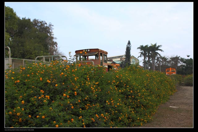 《遊記—高雄》高鐵高捷一日遊Part2～橋頭糖廠藝術村