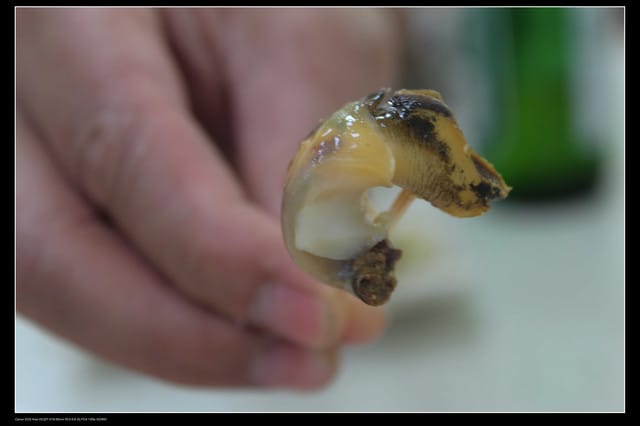 《遊記—高雄》高鐵高捷一日遊Part5～西子灣站鼓山渡輪＆旗津鴨角活海產