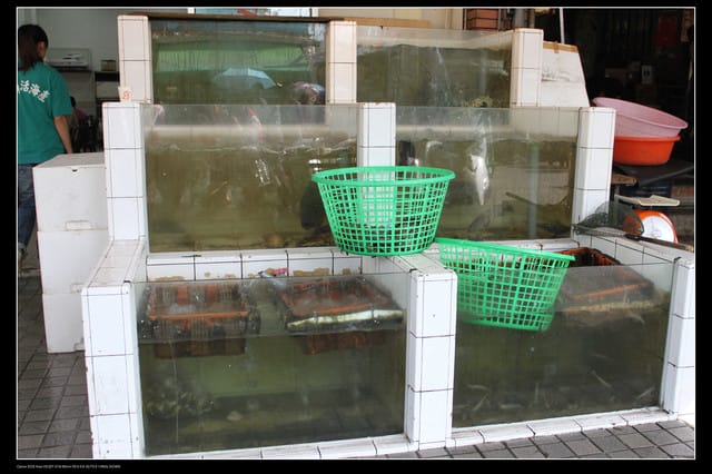 《遊記—高雄》高鐵高捷一日遊Part5～西子灣站鼓山渡輪＆旗津鴨角活海產