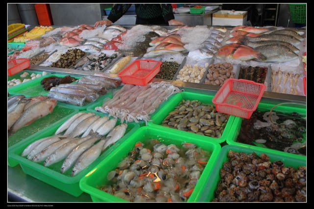 《遊記—高雄》高鐵高捷一日遊Part5～西子灣站鼓山渡輪＆旗津鴨角活海產