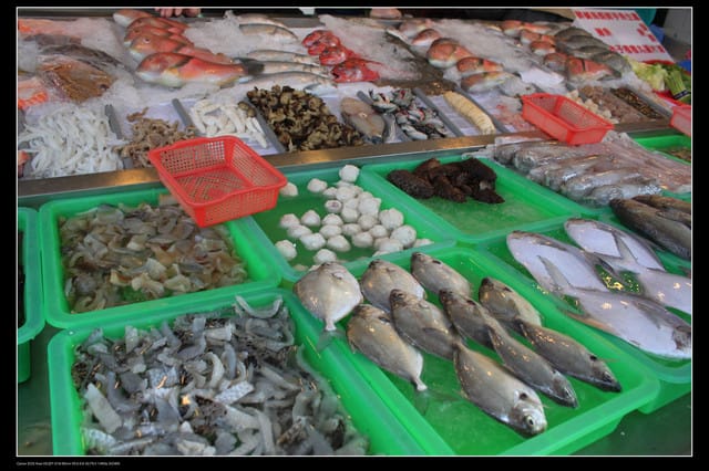 《遊記—高雄》高鐵高捷一日遊Part5～西子灣站鼓山渡輪＆旗津鴨角活海產