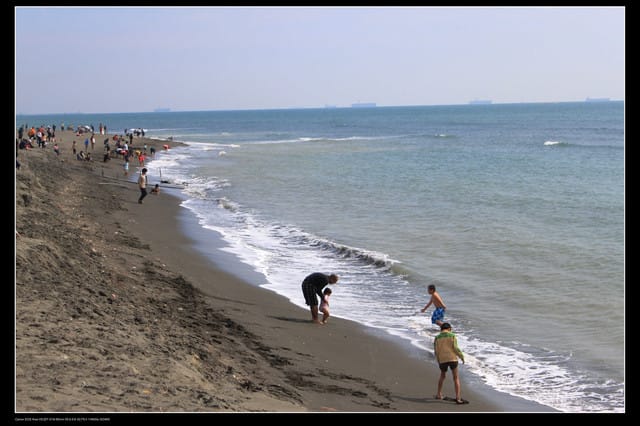 《遊記—高雄》高鐵高捷一日遊Part5～西子灣站鼓山渡輪＆旗津鴨角活海產