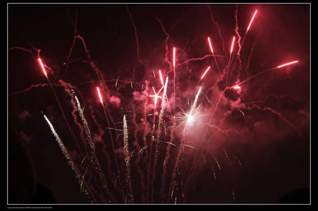 《遊記—桃園》2010桃園燈會(中正藝文中心) - 第24張圖 《遊記—桃園》2010桃園燈會(中正藝文中心)