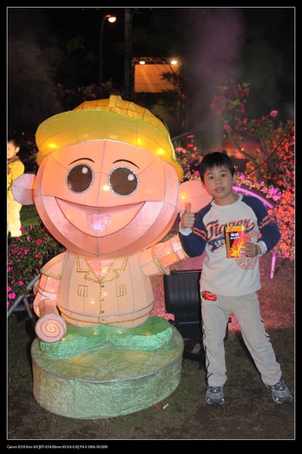 《遊記—桃園》2010桃園燈會(中正藝文中心) - 第15張圖 《遊記—桃園》2010桃園燈會(中正藝文中心)