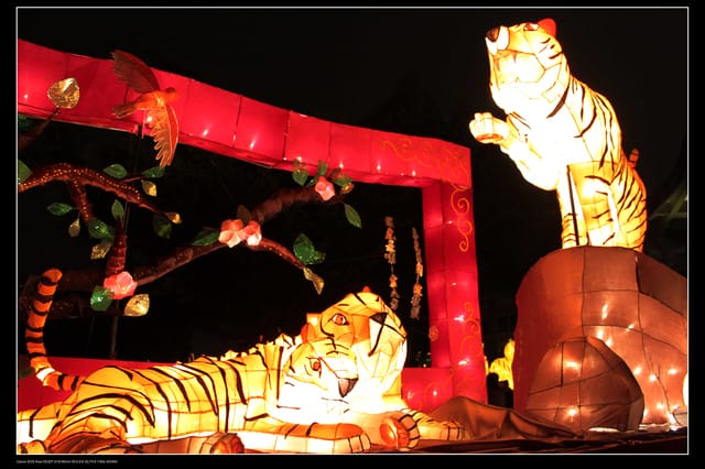 《遊記—台北》2010台北燈會（國父紀念館）