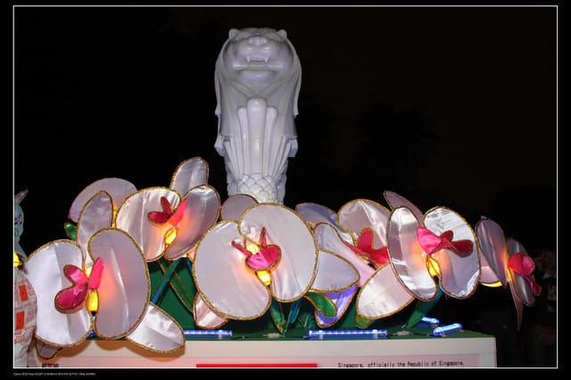 《遊記—台北》2010台北燈會（國父紀念館）