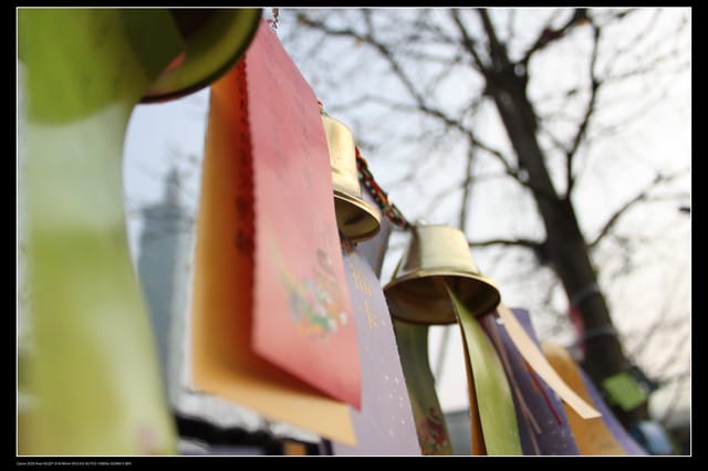 《遊記—台北》2010台北燈會（二遊國父紀念館）