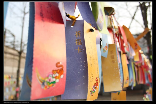 《遊記—台北》2010台北燈會（二遊國父紀念館）