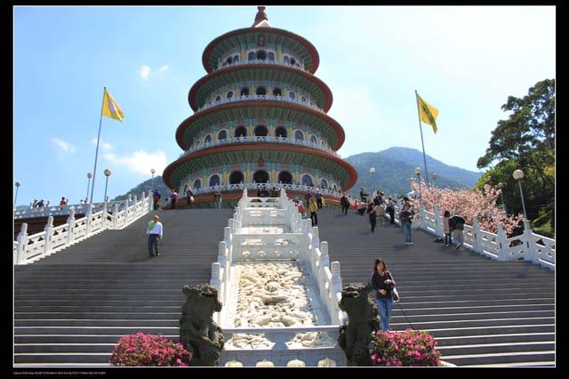 《遊記—淡水》分享3‧11天元宮吉野櫻花（圖多）